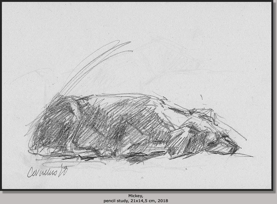 Mickey,  pencil study, 21x14,5 cm,